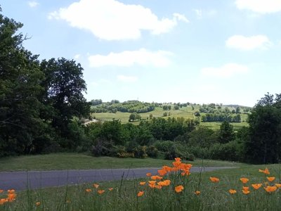 camping La Perle photo 16