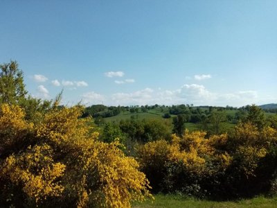 camping La Perle photo 8