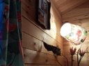 Cliquez pour découvrir toutes les photos de l'HÉBERGEMENT ! chalet - camping La Perle photo 11