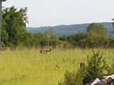 camping La Perle photo 2