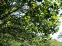 camping La Perle photo 6