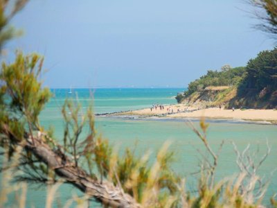 Cliquez pour découvrir toutes les photos de l'ÉTABLISSEMENT ! camping Les Beaupins photo 17
