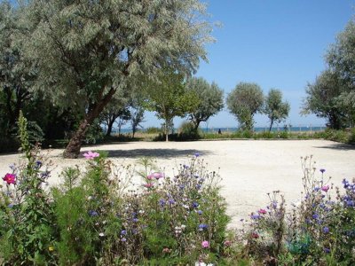 camping Le Phare Ouest photo 24