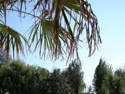 camping Le Phare Ouest photo 26
