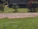 Cliquez pour découvrir toutes les photos de l'HÉBERGEMENT ! mobil-home - camping Le Phare Ouest photo 3