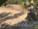 Cliquez pour découvrir toutes les photos de l'HÉBERGEMENT ! mobil-home - camping Le Phare Ouest photo 7