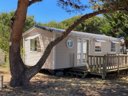 Cliquez pour découvrir toutes les photos de l'HÉBERGEMENT ! mobil-home - camping Le Phare Ouest photo 2