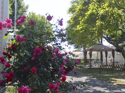 Cliquez pour découvrir toutes les photos de l'ÉTABLISSEMENT ! camping Les Acacias photo 9
