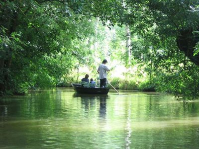 Cliquez pour découvrir toutes les photos de l'ÉTABLISSEMENT ! résidence Domaine Du Lambon photo 21