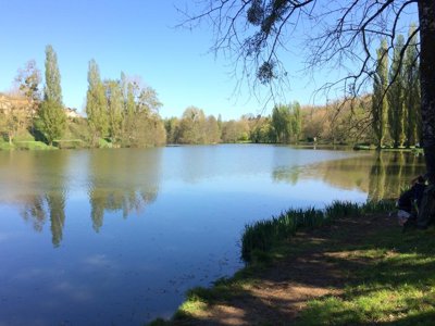 Cliquez pour découvrir toutes les photos de l'ÉTABLISSEMENT ! résidence Domaine Du Lambon photo 25