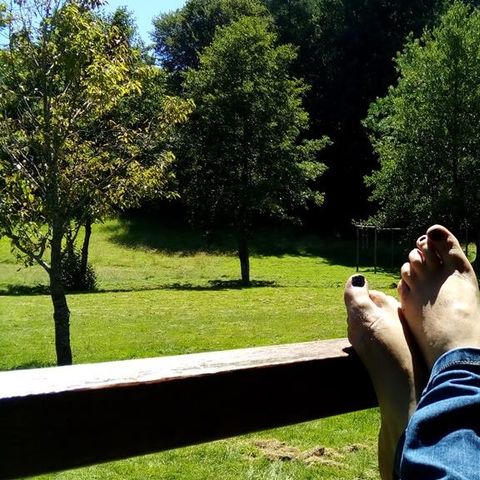 chalet - De Matour photo 2