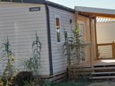 Cliquez pour découvrir toutes les photos de l'HÉBERGEMENT ! mobil-home - camping Flower Le Pre Des Sables photo 1