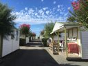 Camping Pas Cher vous présente avec son site Officiel campingpascher.fr, le Camping Les Tulipes classé 2 étoiles, situé sur la commune de La Faute Sur Mer dans le département Vendée (Pays De La Loire) en France. Le camping Les Tulipes vous propose un hébergement de type mobil-home de 23 m² pour 1 personne (télévision). L'établissement vous propose 6 autres types d'hébergements. Découvrez tous nos séjours à petits prix dans la commune et aux alentours de La Faute Sur Mer du département : Vendée (Pays De La Loire). Les Avis clients pour le Camping Les Tulipes sont excellents avec une note moyenne de 9 sur 10. Mer, Piscine chauffée, Piscine extérieure, Animations familiales, Club enfants, Aire de jeux enfants, Baby-foot, Cyclisme, Golf, Ping-pong, Pétanque, Salle de fitness, Structure gonflable enfants, Dépôt de pain, Pizzeria, Restaurant, Restaurant grill,... En savoir plus : cliquez-ICI.