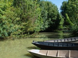 Camping Pas Cher vous présente avec son site Officiel campingpascher.fr, le Camping La Grière classé 3 étoiles, situé sur la commune de La Tranche Sur Mer dans le département Vendée (Pays De La Loire) en France. Le camping La Grière, vous présente un hébergement de type mobil-home. Le camping La Grière vous proposeun séjour PAS CHER avec une REMISEdu jeudi 28 mai au jeudi 04 juin 2026, en promotion à -44% pour 7 nuits à 309,40 € au lieu de 552,5 € soit une Économie de 243,10 €. Cette location propose 61 dates différentes pour réserver votre séjour. Découvrez également les 1 autres gammes d'hébergements du camping. Les Avis clients pour le Camping La Grière sont excellents avec une note moyenne de 9 sur 10. Mer, Animations familiales, Club enfants, Aire de jeux enfants, Centre équestre, Court de tennis, Golf, Ping-pong, Pétanque, Terrain multisports, Bar, Boulangerie, Bureau de tabac, Dépôt de pain, Snack/Bar, Supermarché,... En savoir plus : cliquez-ICI.