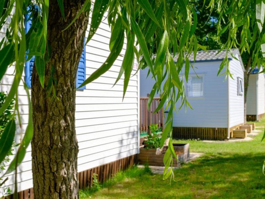 Camping Pas Cher vous présente avec son site Officiel campingpascher.fr, le Camping Le Grand Pré classé 2 étoiles, situé sur la commune de La Tranche Sur Mer dans le département Vendée (Pays De La Loire) en France. Le camping Le Grand Pré, vous présente un hébergement de type mobil-home de 28 m² pour 5 personnes et télévision. Le camping Le Grand Pré vous propose du sam. 13 juin au sam. 20 juin 2026 pour 7 nuits à 219€. Cette location propose 12 dates différentes pour réserver votre séjour. Découvrez également les 6 autres gammes d'hébergements du camping. Les Avis clients pour le Camping Le Grand Pré sont excellents avec une note moyenne de 8 sur 10. Piscine chauffée, Piscine couverte, Canoë-kayak, Centre équestre, Cyclisme, Paddle, Pétanque, Randonnée, kiteSurf, Snack/Bar,... En savoir plus : cliquez-ICI.