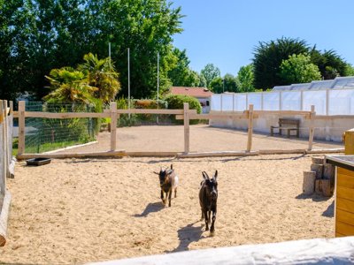 camping Le Grand Pré photo 4