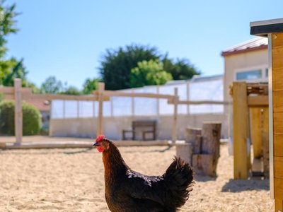 camping Le Grand Pré photo 6