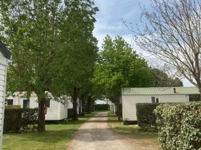 Cliquez pour découvrir toutes les photos de l'ÉTABLISSEMENT ! camping L'r Pur photo 10