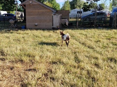 camping Aux Rives Du Soleil photo 29