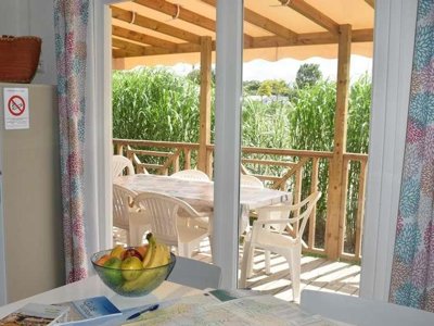 Cliquez pour découvrir toutes les photos de l'HÉBERGEMENT ! mobil-home - Flower Le Petit Paris photo 3