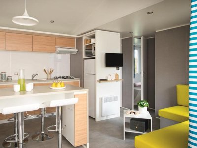Cliquez pour découvrir toutes les photos de l'HÉBERGEMENT ! mobil-home - Flower Le Petit Paris photo 4