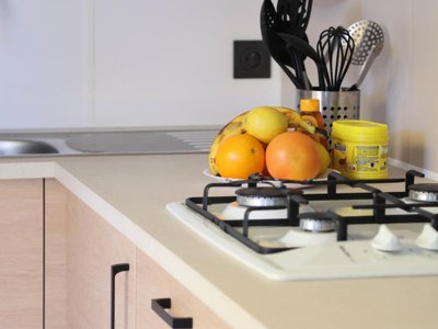 Cliquez pour découvrir toutes les photos de l'HÉBERGEMENT ! mobil-home - Flower Le Petit Paris photo 5
