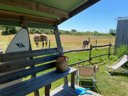 Cliquez pour découvrir toutes les photos de l'HÉBERGEMENT ! bungalow toilé - camping Flower Le Petit Paris photo 4