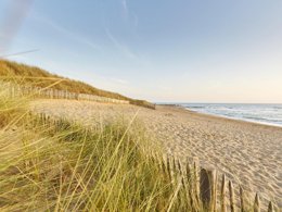 Camping Pas Cher vous présente avec son site Officiel campingpascher.fr, le Camping Flower Le Petit Paris classé 4 étoiles, situé sur la commune de Les Sables D'olonne dans le département Vendée (Pays De La Loire) en France. Le camping Flower Le Petit Paris, vous présente un hébergement de type bungalow toilé de 22 m². Le camping Flower Le Petit Paris vous propose du mardi 08 septembre au mardi 15 septembre 2026 pour 7 nuits à 337€. Cette location propose 59 dates différentes pour réserver votre séjour. Découvrez également les 17 autres gammes d'hébergements du camping. Les Avis clients pour le Camping Flower Le Petit Paris sont excellents avec une note moyenne de 8 sur 10. Lagon, Piscine couverte, Animations familiales, Club enfants, Aire de jeux enfants, Baby-foot, Centre équestre, Cyclisme, Flipper, Paddle, Parcours sportif, Ping-pong, Piscine, Plongée, Pétanque, Randonnée, Structure gonflable enfants, Surf, Terrain de badminton, Terrain de volley-ball, Terrain multisports, Tir à l’arc, Bar, Boulangerie, Dépôt de pain, Food truck, Plats à emporter, Snack/Bar, Supermarché,... En savoir plus : cliquez-ICI.