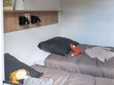 mobil-home - camping Flower Le Val Vert En Berry photo 8
