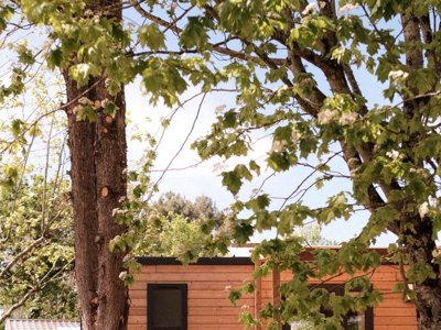 Cliquez pour découvrir toutes les photos de l'ÉTABLISSEMENT ! camping L'Orée De L'Océan photo 24