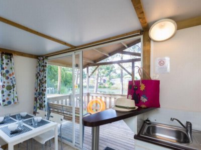 chalet - Paradis La Bretonnière photo 3