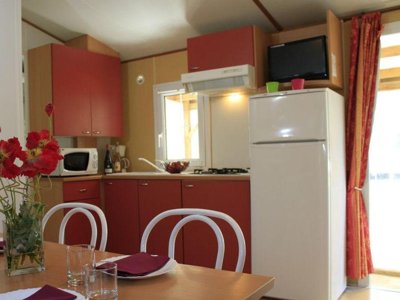 mobil-home - Paradis La Bretonnière photo 3