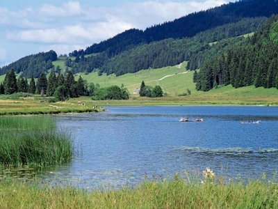 Cliquez pour découvrir toutes les photos de l'ÉTABLISSEMENT ! camping La Marjorie photo 20
