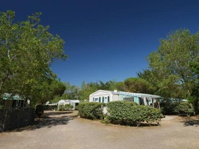 Cliquez pour découvrir toutes les photos de l'ÉTABLISSEMENT ! village vacances La Grande Dune photo 6