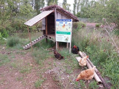 Cliquez pour découvrir toutes les photos de l'ÉTABLISSEMENT ! camping La Ningle photo 12
