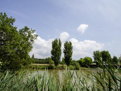 Cliquez pour découvrir toutes les photos de l'ÉTABLISSEMENT ! camping La Ningle photo 23