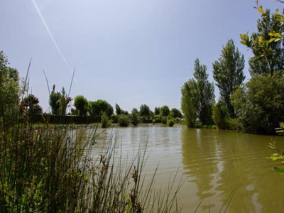 Cliquez pour découvrir toutes les photos de l'ÉTABLISSEMENT ! camping La Ningle photo 24