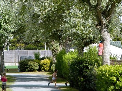 camping Les Ecureuils photo 22