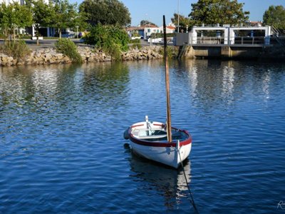 Cliquez pour découvrir toutes les photos de l'ÉTABLISSEMENT ! établissement Fonteclose photo 30