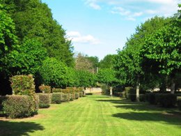 Camping Pas Cher vous présente avec son site Officiel campingpascher.fr, le Camping Canal De Berry, situé sur la commune de Saint Amand Montrond dans le département Cher (Centre Val De Loire) en France. Le camping Canal De Berry, vous présente un hébergement de type lodge de 5 m² pour 2 personnes. Le camping Canal De Berry vous propose du lundi 06 avril au lundi 13 avril 2026, en promotion à -15% pour 7 nuits à 148,75 € au lieu de 175,0 € soit une Économie de 26,25 €. Cette location propose 172 dates différentes pour réserver votre séjour. Découvrez également les 7 autres gammes d'hébergements du camping. Les Avis clients pour le Camping Canal De Berry sont excellents avec une note moyenne de 9 sur 10. LacRivièreÉtang, Piscine couverte, Piscine extérieure, Aire de jeux enfants, Baby-foot, Centre équestre, Court de tennis, Cyclisme, Ping-pong, Pétanque, Randonnée, Terrain de football, Terrain de volley-ball,... En savoir plus : cliquez-ICI.