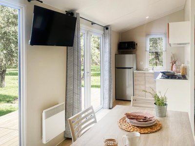 Cliquez pour découvrir toutes les photos de l'HÉBERGEMENT ! mobil-home - L'Océan photo 2