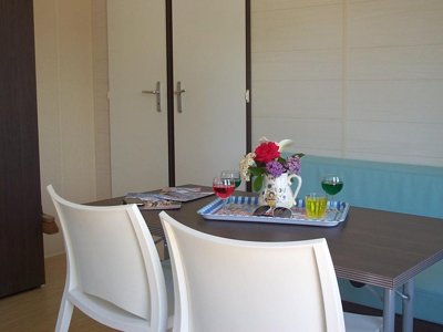 mobil-home - La Buzelière photo 7