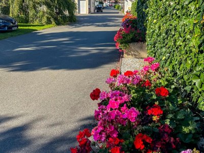 camping Aux Coeurs Vendeens photo 19