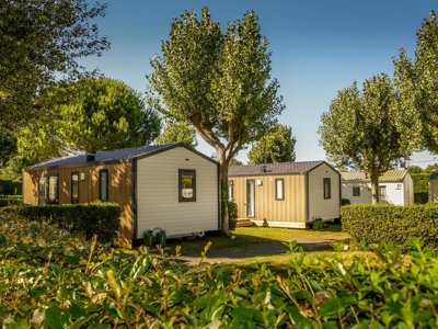 camping Aux Coeurs Vendeens photo 2