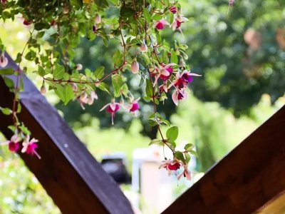 Cliquez pour découvrir toutes les photos de l'ÉTABLISSEMENT ! camping Flower Lac De Saint-Point Lamartine En Bourgogne photo 19