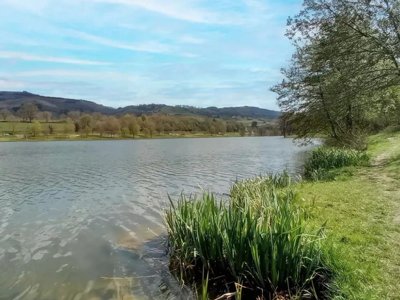 Cliquez pour découvrir toutes les photos de l'ÉTABLISSEMENT ! camping Flower Lac De Saint-Point Lamartine En Bourgogne photo 20