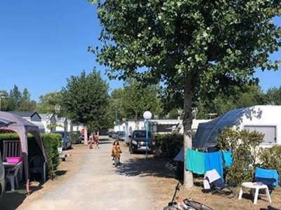 camping Le Petit Bois photo 12
