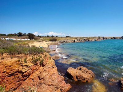 camping Le Petit Bois photo 6