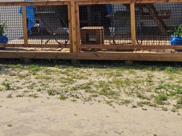 Camping Pas Cher vous présente avec son site Officiel campingpascher.fr, le Camping Le Pont D'yeu classé 3 étoiles, situé sur la commune de Notre Dame De Monts dans le département Vendée (Pays De La Loire) en France. Le camping Le Pont D'yeu, vous présente un hébergement de type bungalow. Le camping Le Pont D'yeu vous propose du sam. 30 mai au sam. 06 juin 2026 pour 7 nuits à 324.5€. Cette location propose 86 dates différentes pour réserver votre séjour. Découvrez également les 8 autres gammes d'hébergements du camping. Les Avis clients pour le Camping Le Pont D'yeu sont excellents avec une note moyenne de 8 sur 10. Piscine couverte, Animations familiales, Aire de jeux enfants, Canoë-kayak, Court de tennis, Paddle, Ping-pong, Pétanque, Randonnée, Voile, Bar, Dépôt de pain, Restaurant,... En savoir plus : cliquez-ICI.