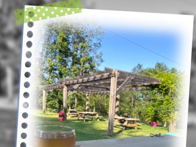 Cliquez pour découvrir toutes les photos de l'ÉTABLISSEMENT ! camping Les Petites Minaudieres photo 25